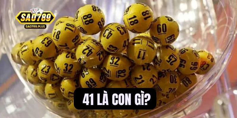 41 là con gì