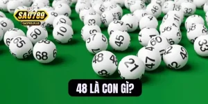 48 là con gì