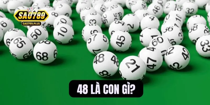 48 là con gì