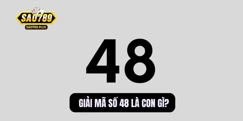 48 là con gì