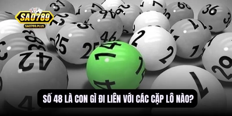 48 là con gì