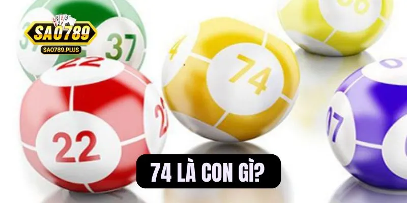 74 là con gì