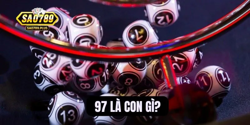 97 là con gì