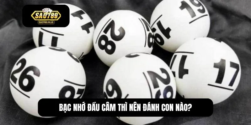 Bạc nhớ đầu câm