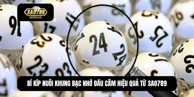 Bạc nhớ đầu câm