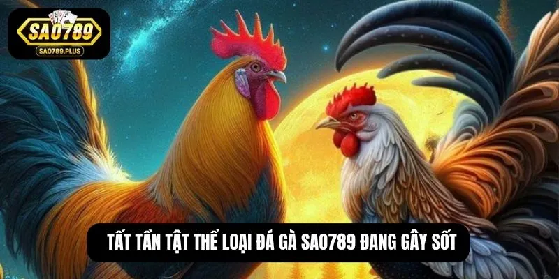 Tất tần tật thể loại đá gà SAO789 đang gây sốt